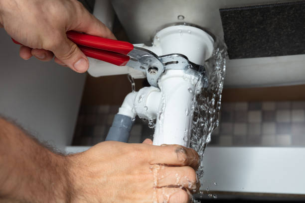 Best Sewage cleanup and water damage restoration  in Franklin, CA