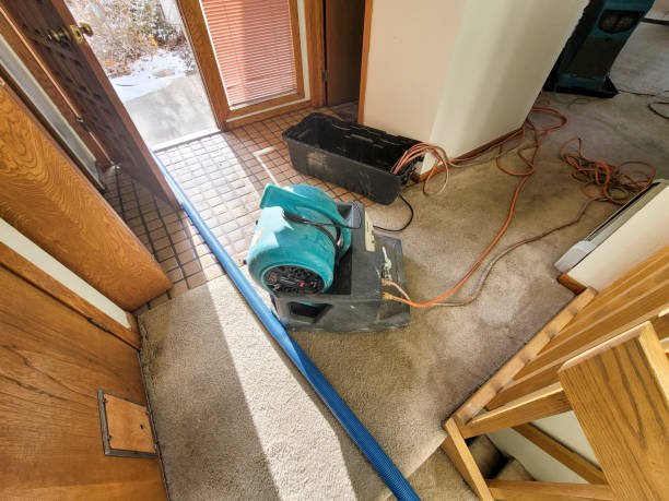 Best Fire Damage Restoration  in Franklin, CA