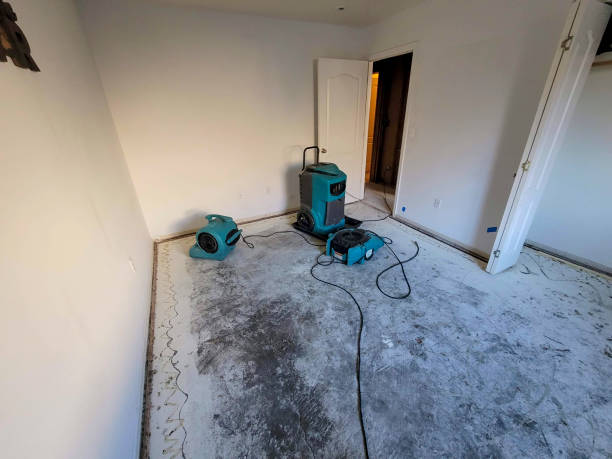 Best Commercial water damage restoration  in Franklin, CA