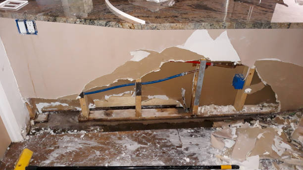Best Ceiling water damage repair  in Franklin, CA
