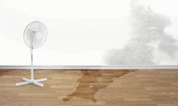 Best Local water damage restoration  in Franklin, CA