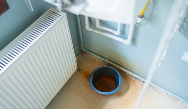 Best Water damage contractors near me  in Franklin, CA